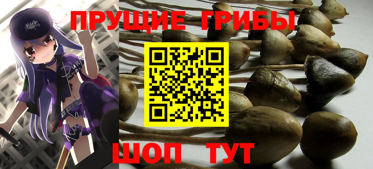 Галлюциногенные грибы мицелий Советский