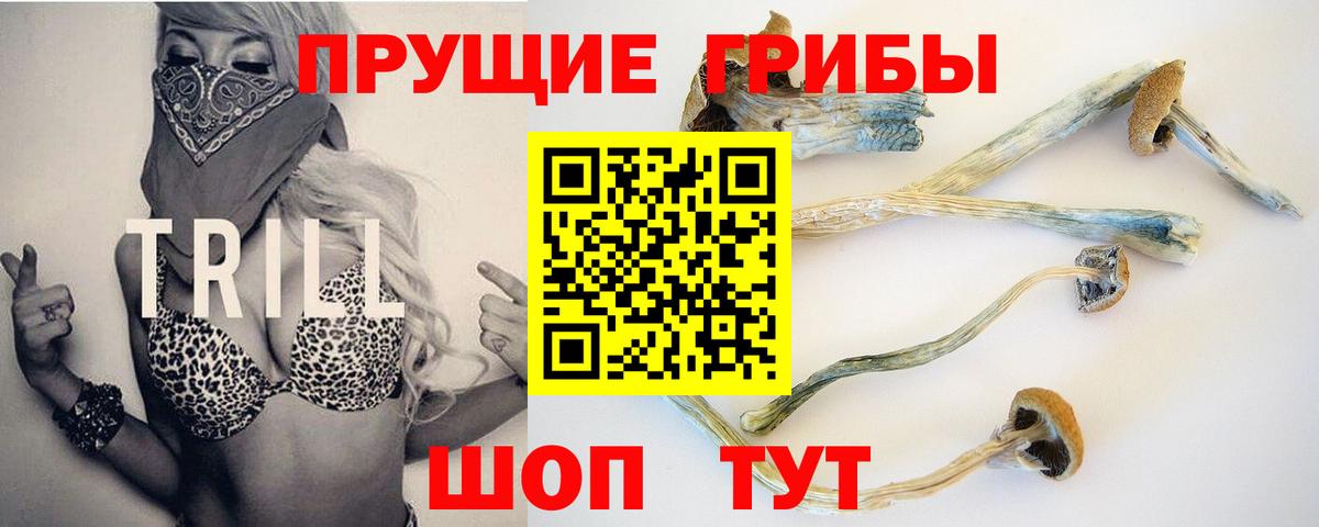 Советский  Псилоцибиновые грибы MAGIC MUSHROOMS  Псилоцибиновые грибы мицелий  Вход с VPN 